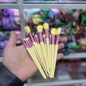 ست براش 13 تکه کیف دار مخملی